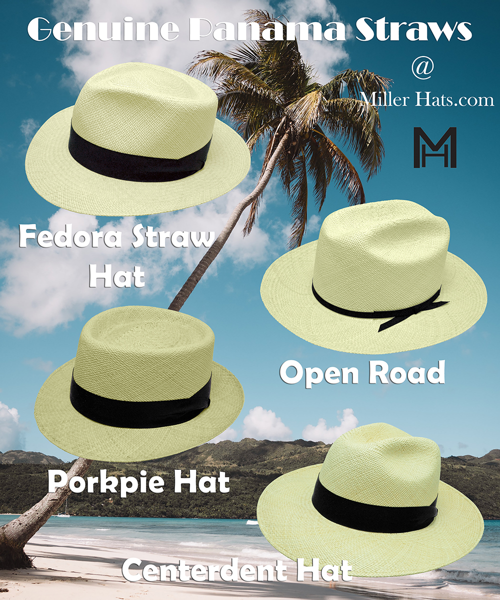 Types of best sale panama hats