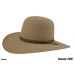 Style: 1006 The Big Country Cowboy Hat