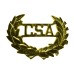 Style: 119 CSA Brass Insignias with Wreath