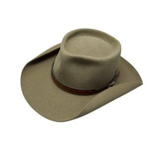353 Harmonica Cowboy Hat